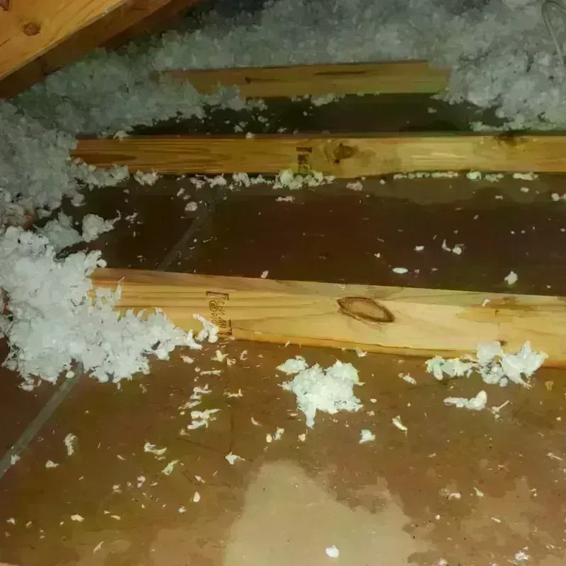 Attic Water Damage in Granville, WV